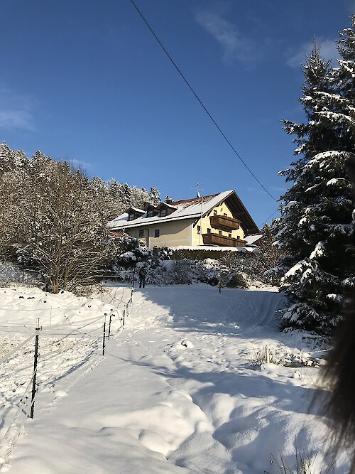 Last Minute Angebot Landgut Dreiburgenland